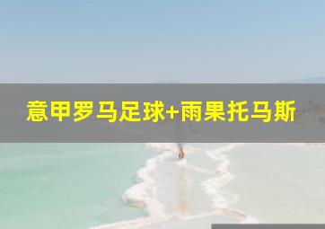 意甲罗马足球 雨果托马斯